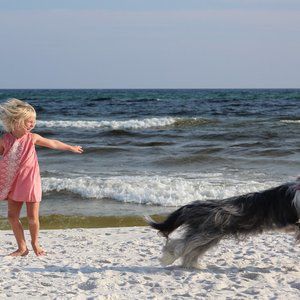 ⭐️TOP RATED SELLER ➕ FAST SHIP  📦